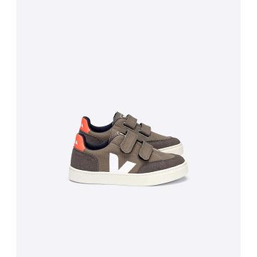 Sneakersy Veja V-12 CANVAS Dziecięce Kawa | VEJA803-PL