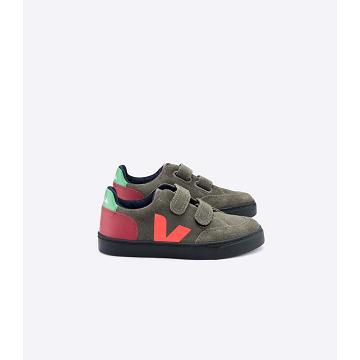 Sneakersy Veja V-12 SUEDE Dziecięce Oliwkowe | VEJA798-PL